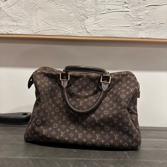 Louis Vuitton Handbags - Louis Vuitton Brown Speedy 30 Bag Mini Lin